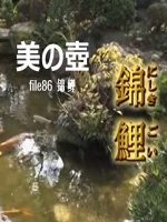 美之壶(86) 锦鲤[日语中字]
