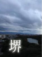 新日本风土记「堺」[日语日字]