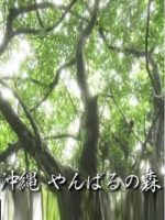 新日本風土記「沖縄 やんばるの森」[日语日字]