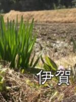 新日本風土記「伊賀」[日语日字]