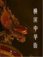 新日本風土記「横浜中華街」[日语日字]