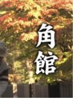 新日本风土记「角館」[日语日字]