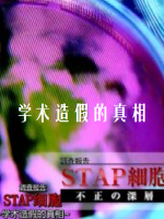 调查报告 “STAP细胞”学术造假真相 [日语中字]