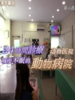纪实72小时 城市不眠的动物医院 [日语中日双字]