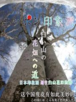 日本印象派 通往白山花田的路 [日语中日双字]