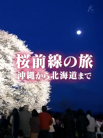 新日本风土记 桜前線の旅 沖縄から北海道まて[日语]