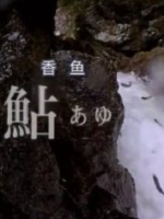 新日本风土记-香鱼[日语中字]