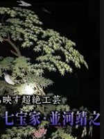 极上美的飨宴 超绝工艺(2) 色彩めぐる小[日语无字]
