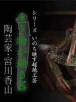极上美的飨宴 超绝工艺(1) 生き物が踊る器[日语无字]
