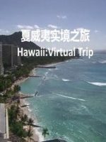 实境之旅 夏威夷 特别放送[风景]